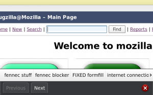fennec-form-autofill-style-02
