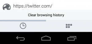 clear-history